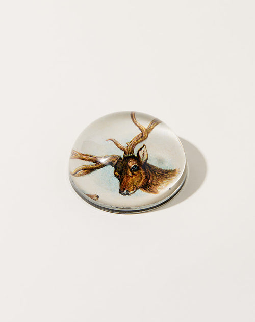John Derian 11 Tipped Deer Dome Paperweight