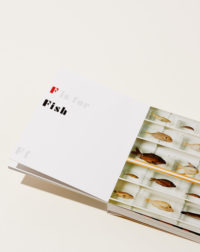 Artbook Damien Hirst: ABC Book