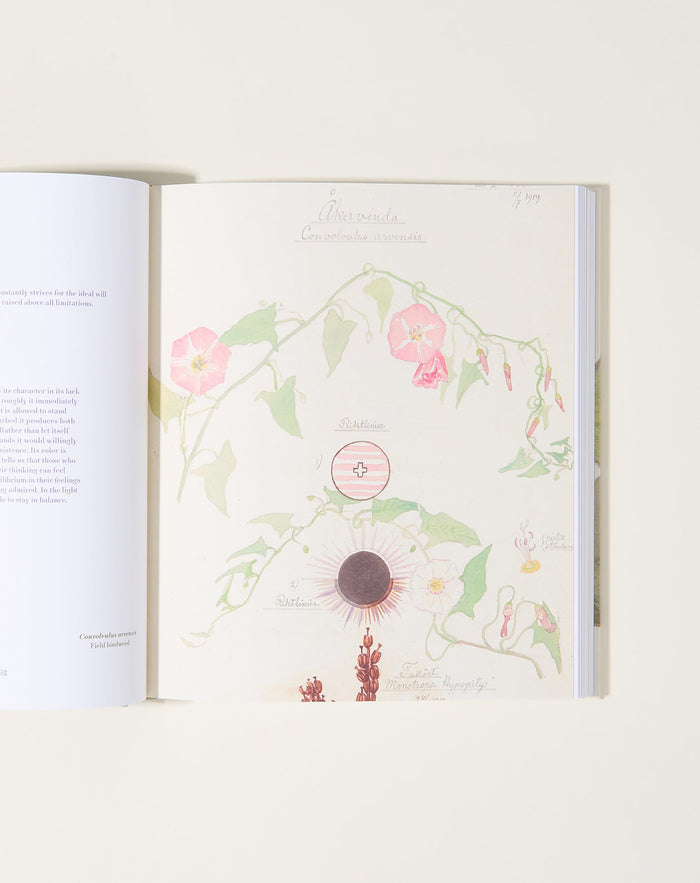 Artbook Hilma af Klint: What Stands Behind the Flowers