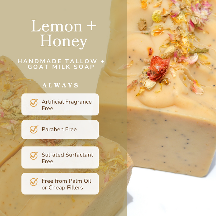 Lemon + Honey + Poppy Seed Bar — Handmade Tallow & Goat Milk Soap