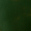 Liquitex Basics Acrylic 118ml Hooker's Green