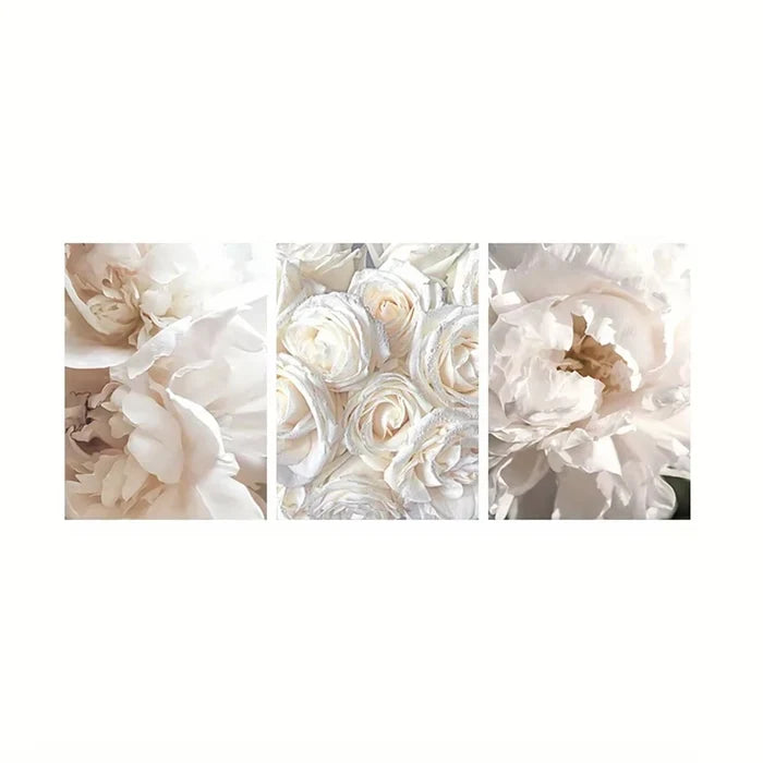 4-3Pcs / 20x30cm No Frame