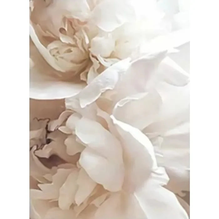 Minimalist Floral Botanical Canvas Print — Single or 3-Piece Set