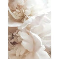 Minimalist Floral Botanical Canvas Print — Single or 3-Piece Set
