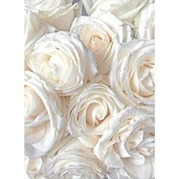 2-1Pc / 20x30cm No Frame