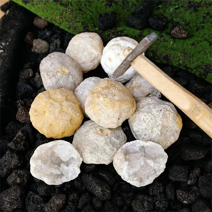 Natural Unopened Agate Geode | Raw Crystal Surprise — Break It Open!