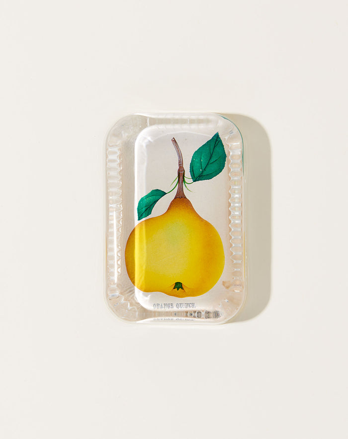 John Derian Orange Quince Dotted Edge Paperweight