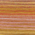 Sierra 8Ply 150g Arizona
